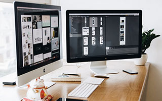 正版Token钱包：开发者生态如何助力新兴市场投资？